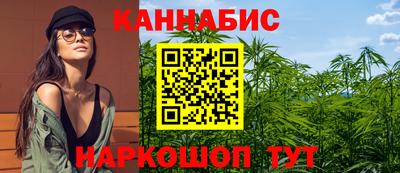 стафф Будённовск