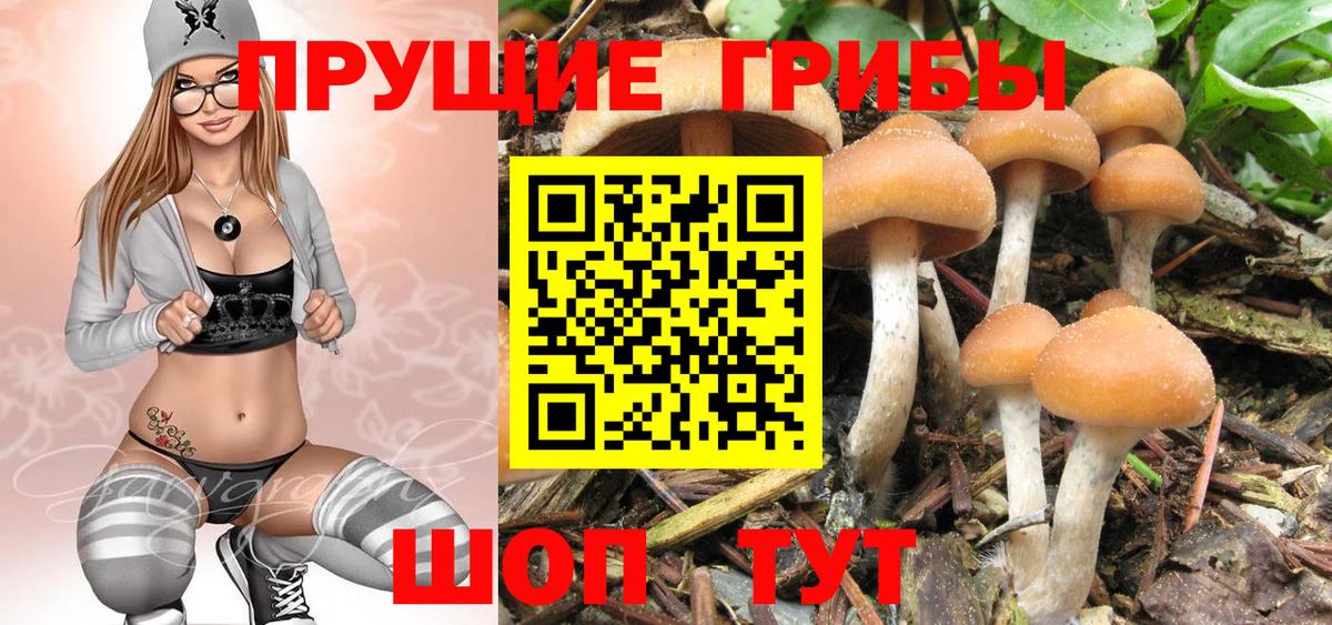 Псилоцибиновые грибы прущие грибы  Вход с VPN  Санкт-Петербург 