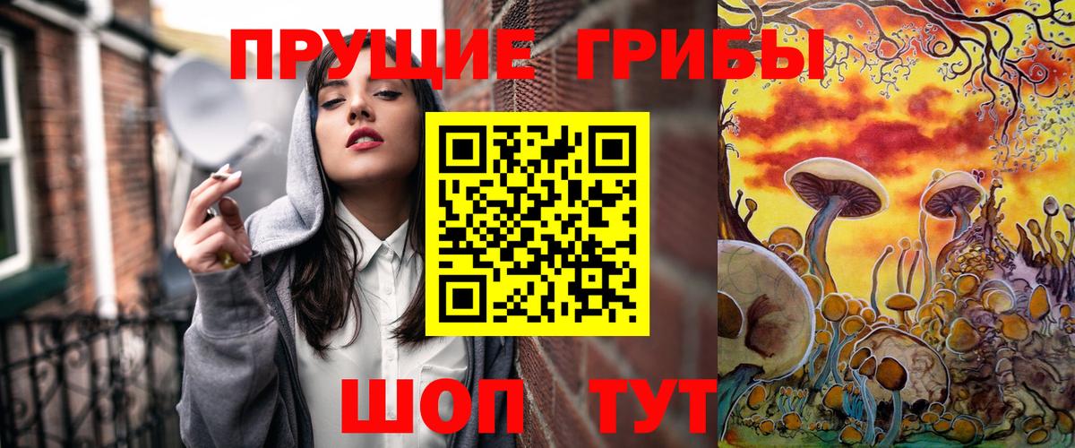 Галлюциногенные грибы Cubensis Санкт-Петербург